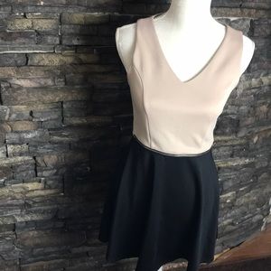Blush & black skater dress